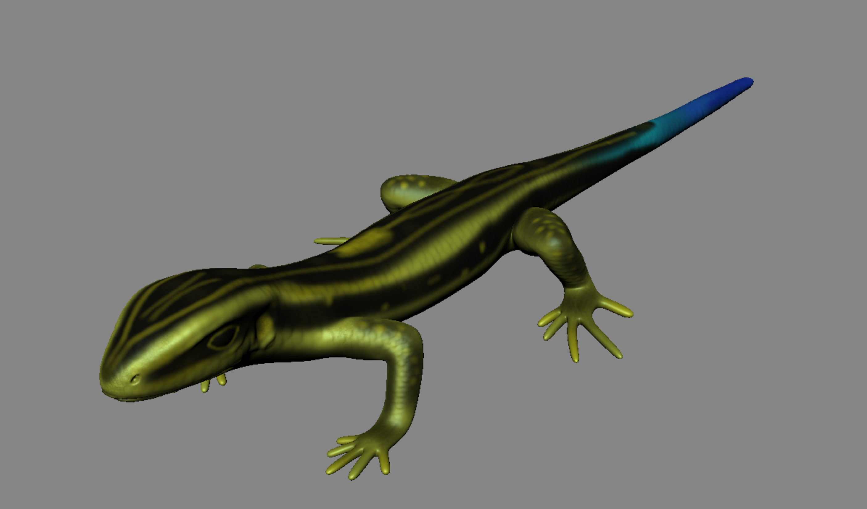 Blue-Tailed Skink